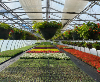 Community Invited to Open House at the Cobourg Greenhouse