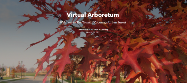 Virtual Tree Story Map