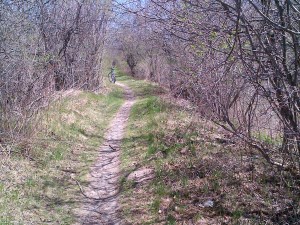 McArthur Trail Before