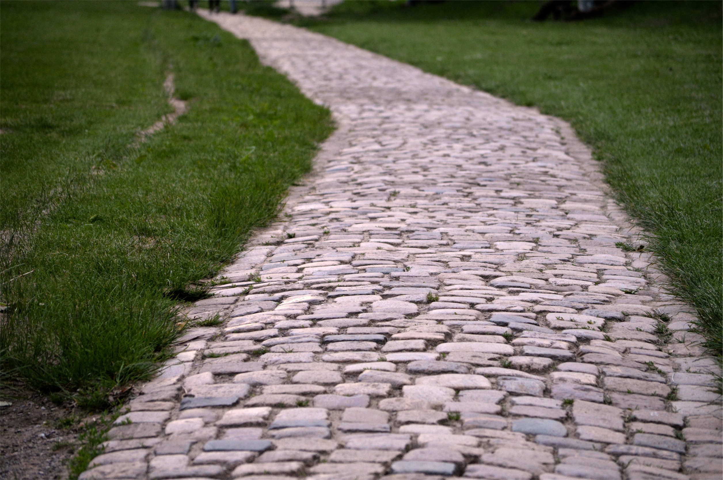 Photo of walkway by Bastian Sara