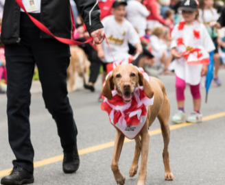 Cobourg Waterfront Festival and Canada Day Parade Details