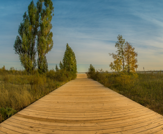 Town of Cobourg Seeking Community Feedback for Waterfront Boardwalk Replacement