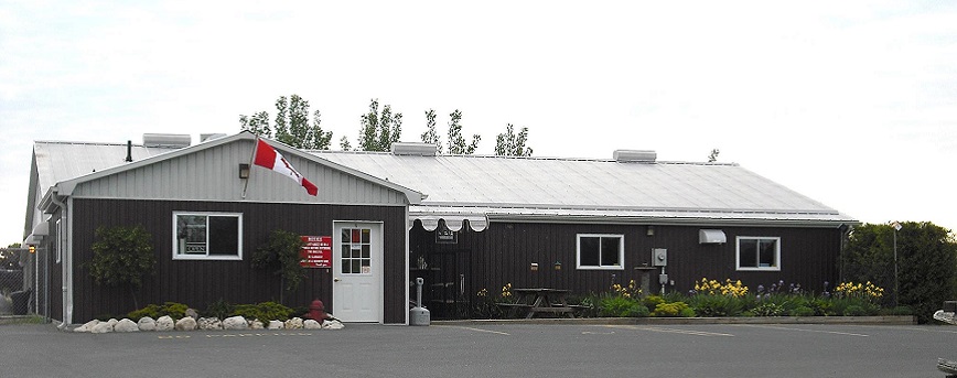Municipal Animal Services